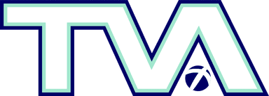Triumph Volleyball CLub